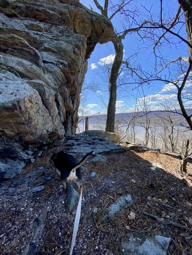 Jax and I explore the rocky outcropping