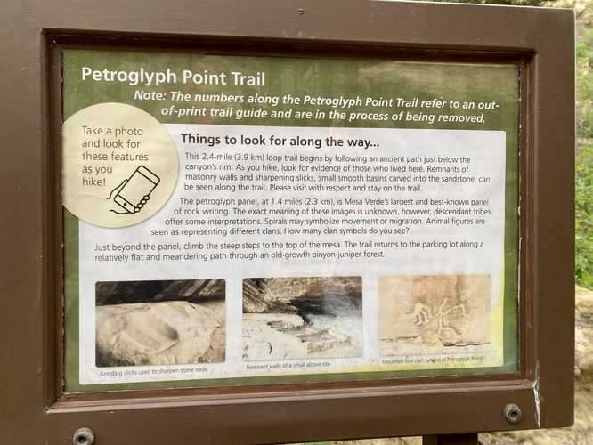 Things to lookout for along the Petroglyph Point Loop Trail