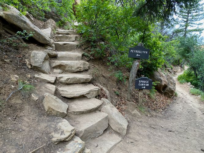Split in trail for Petroglyph Point (keep left)