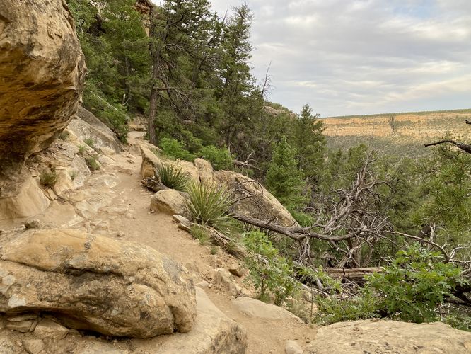 Boulders and rocks make up most of the trail