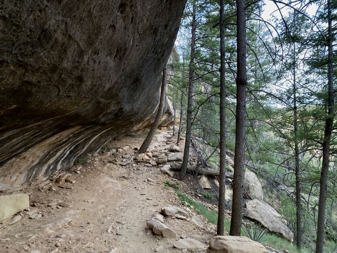 Cliff alcove along the trail