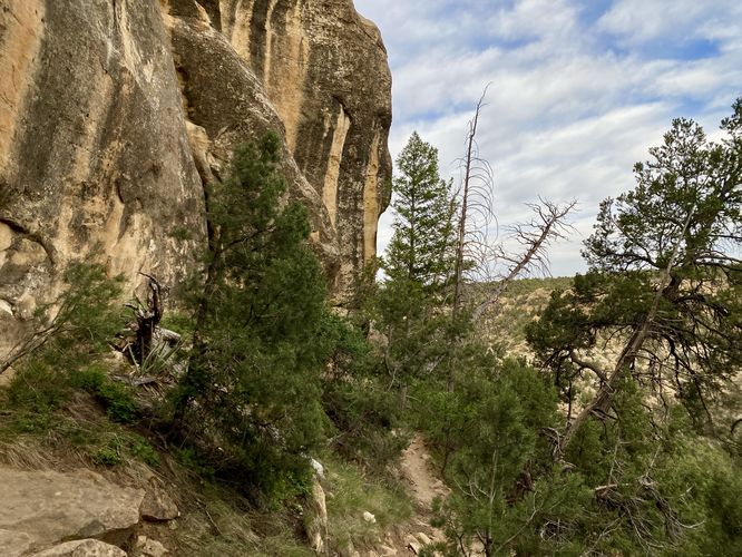 Towering cliffs line the trail in Spruce Canyon