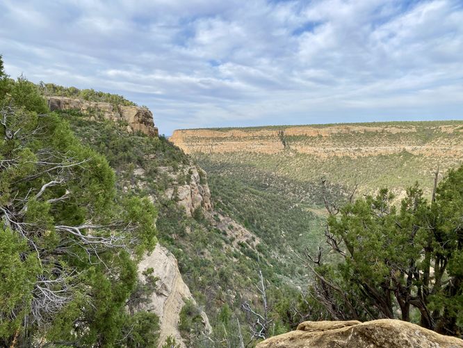 View of Spruce Canyon and into Navajo Canyon