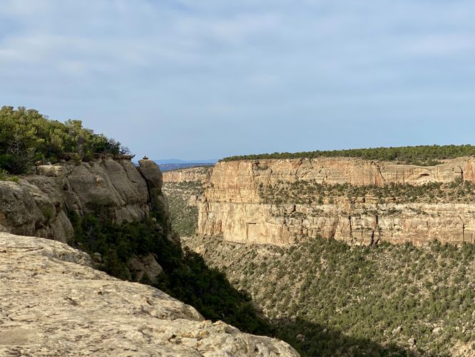 Southward view into Navajo Canyon