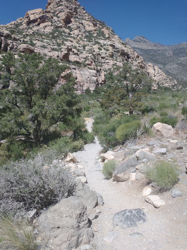 Trail substrate