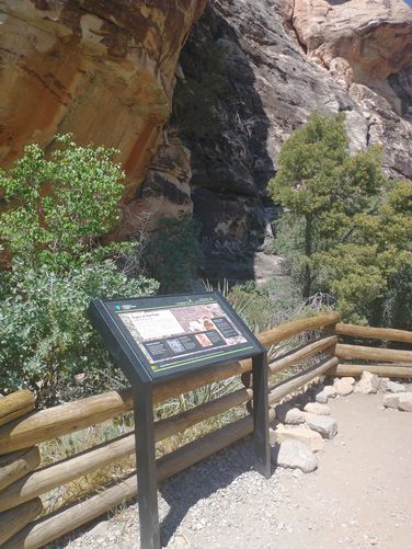 Picture 9 of Petroglyph Wall Trail