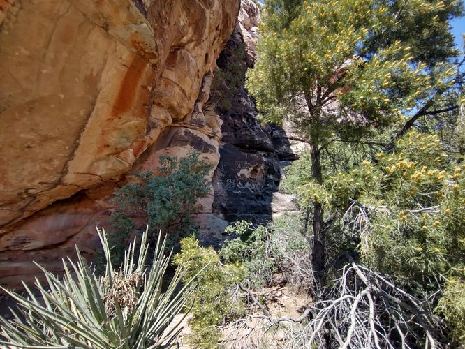 Site of Petroglyphs and Pictograph