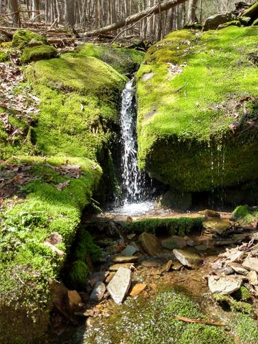 Small Waterfall on Lushbaugh Trail