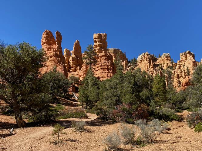 View of towering rock formations along the Photo Trail at Dixie National Forest