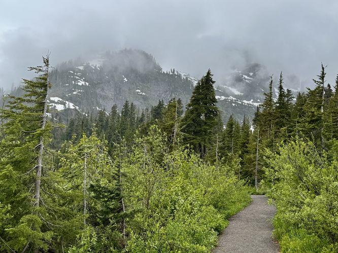 Cloudy day along the Picture Lake Path