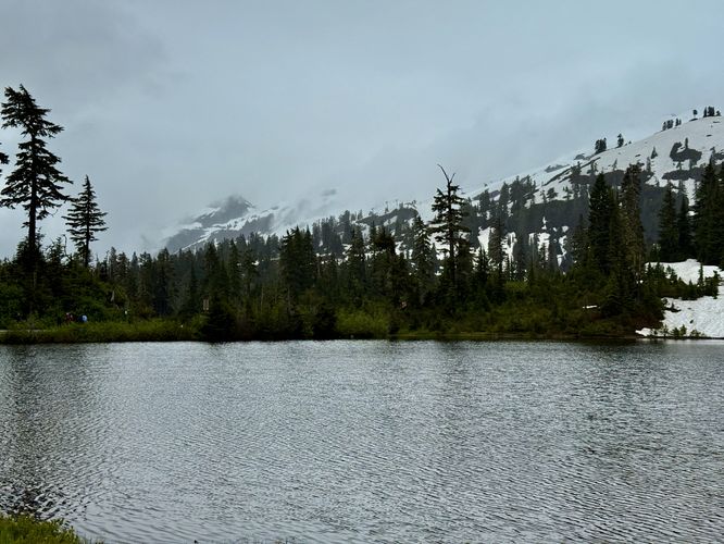Picture 6 of Picture Lake Trail
