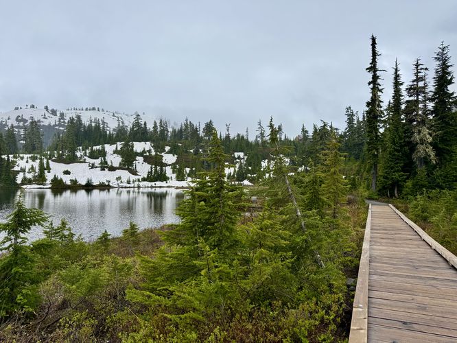 Boradwalk and paved trail of the Picture Lake Path