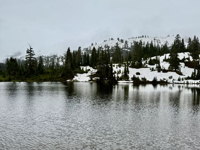 Picture 8 of Picture Lake Trail