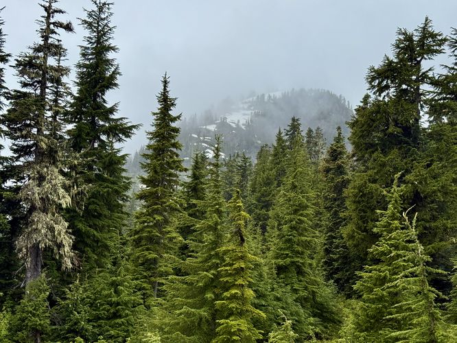 Picture 9 of Picture Lake Trail