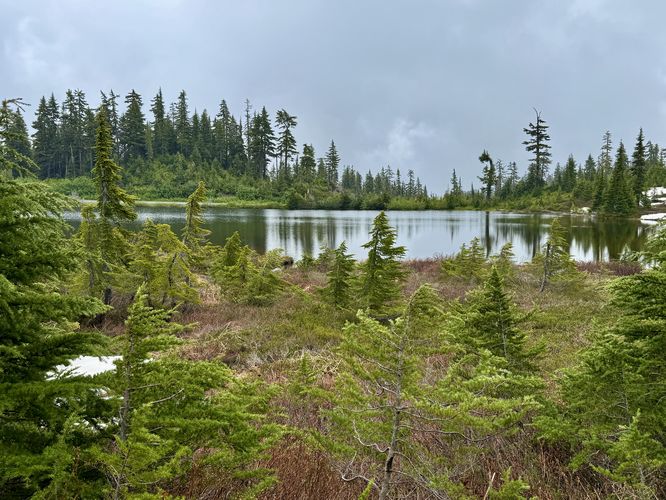 East-facing view of Picture Lake