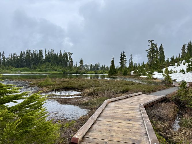 Picture 11 of Picture Lake Trail