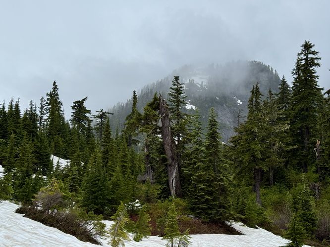 Picture 12 of Picture Lake Trail