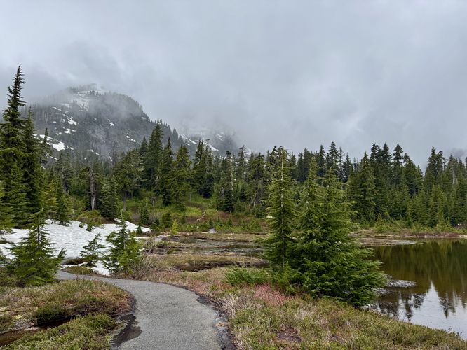 Picture 13 of Picture Lake Trail