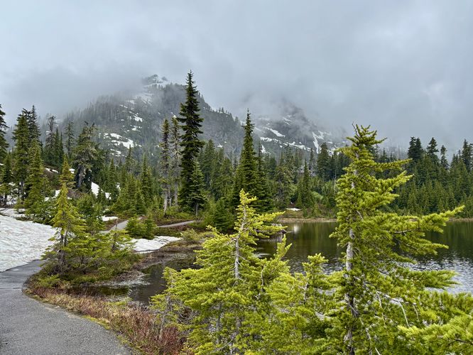 Picture 15 of Picture Lake Trail