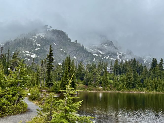 Default image for Picture Lake Path, a 0.4-mile trail in Glacier, WA (US)