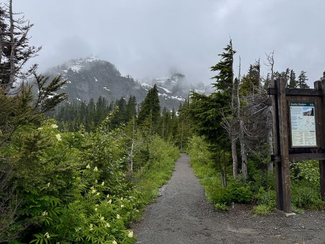 Picture 22 of Picture Lake Trail