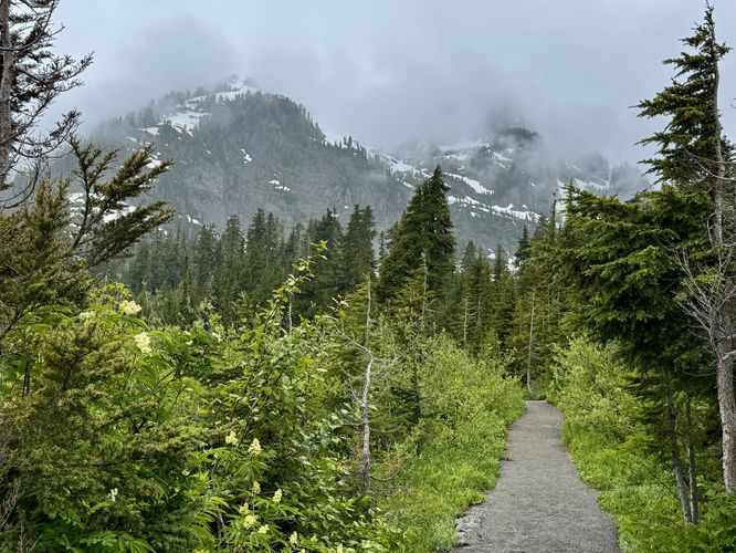 Picture 23 of Picture Lake Trail