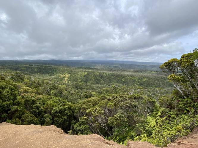 View facing east from the Pihea Trail (plateau toward Waimea Canyon)