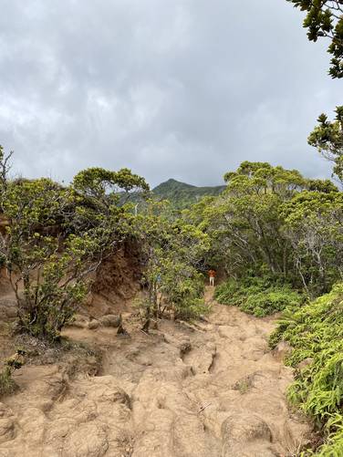 Mountain ridge terrain of the Pihea Trail