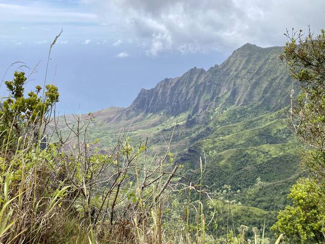 View of the Kalalau Valley and mountain range along Na Pali coast from the Pihea Trail