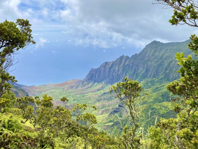  View of the Kalalau Valley and mountain range along Na Pali coast from the Pihea Trail