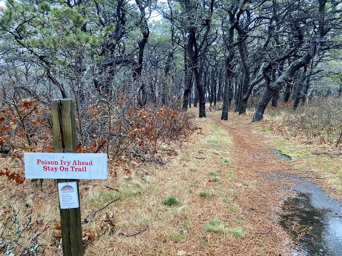 Caution - poison ivy. Stay on-trail