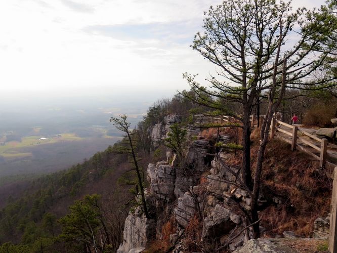 Picture 25 of Pilot Mountain Hike 121315