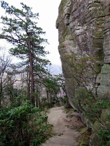 Picture 37 of Pilot Mountain Hike 121315
