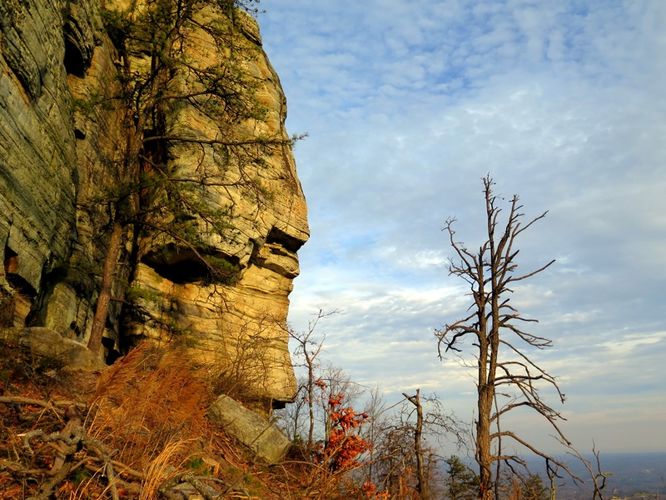 Picture 42 of Pilot Mountain Hike 121315