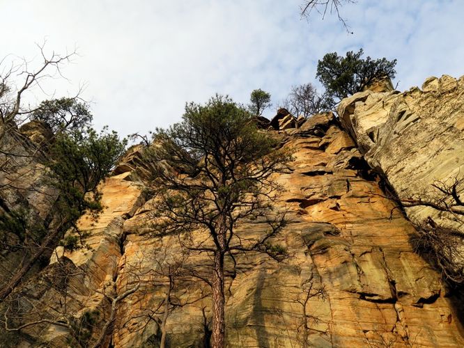 Picture 47 of Pilot Mountain Hike 121315