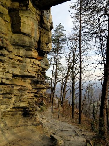 Picture 48 of Pilot Mountain Hike 121315