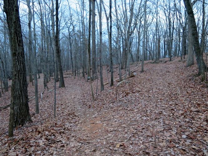 Picture 56 of Pilot Mountain Hike 121315