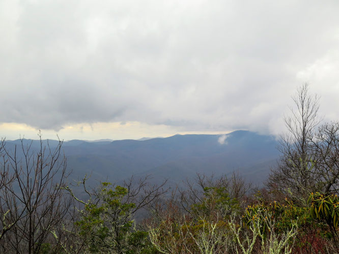 Picture 20 of Pilot Mountain Hike Pisgah NF 011617