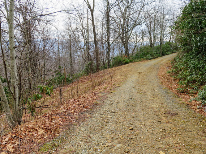 Picture 27 of Pilot Mountain Hike Pisgah NF 011617
