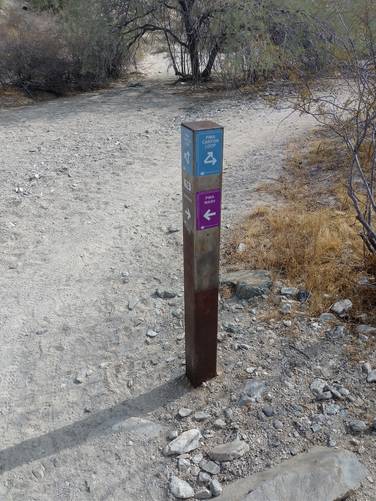 Trail marker at junction of trails