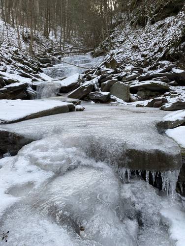 View up Pinafore Run creek frozen over