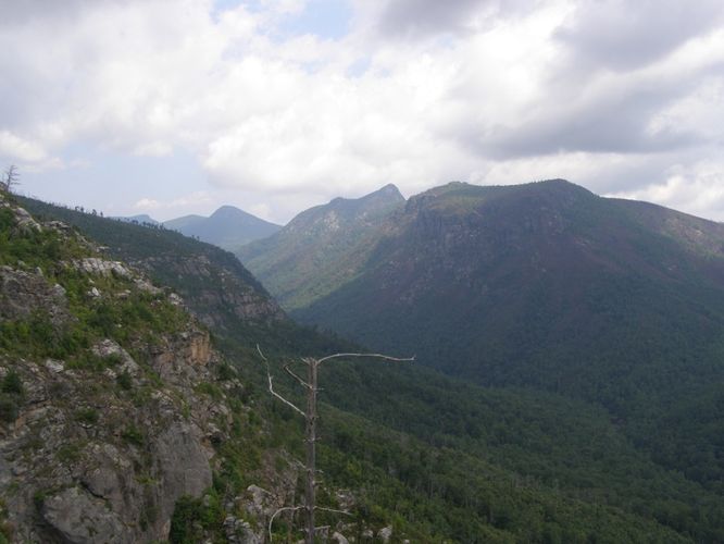 Default image for Pinch In Trail and Rock Jock Trail Hike, a 9.0-mile trail in Linville Gorge Wilderness, NC (US)