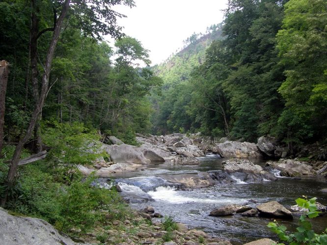 Picture 37 of Pinch In Trail and Rock Jock Trail Hike 080314