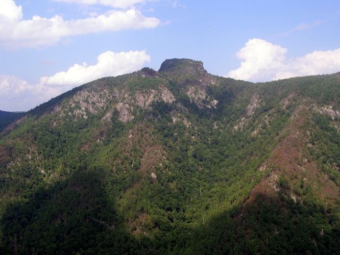 Picture 48 of Pinch In Trail and Rock Jock Trail Hike 080314