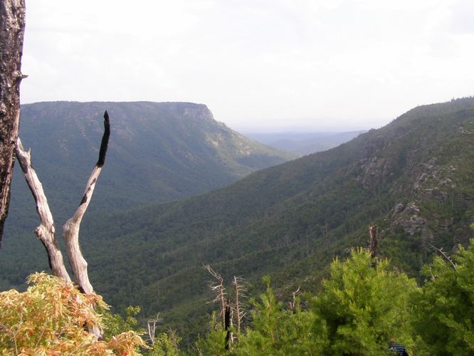 Picture 53 of Pinch In Trail and Rock Jock Trail Hike 080314