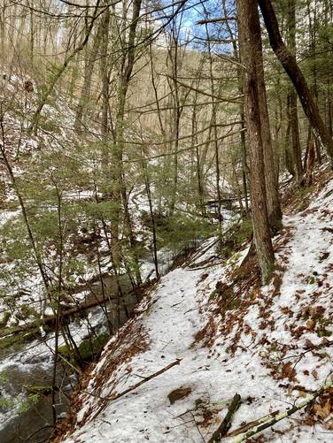 Skinny path with steep drop-off of the Pine Cliff Trail