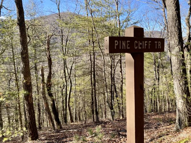 Pine Cliff Trail (blue blazes)