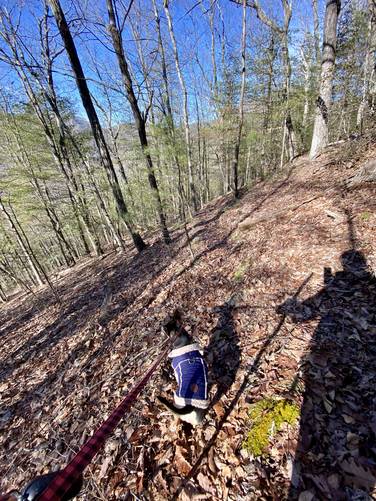 Hiking down the steep Pine Cliff Trail