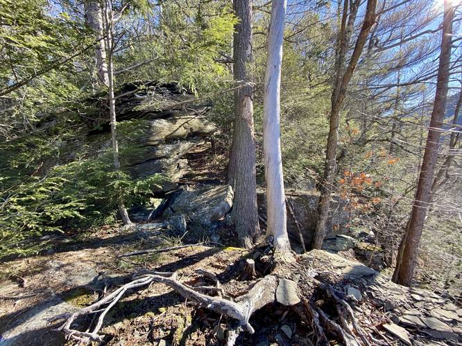 Rocky outcropping, pines, and other trees at the Pine Cliff Vista