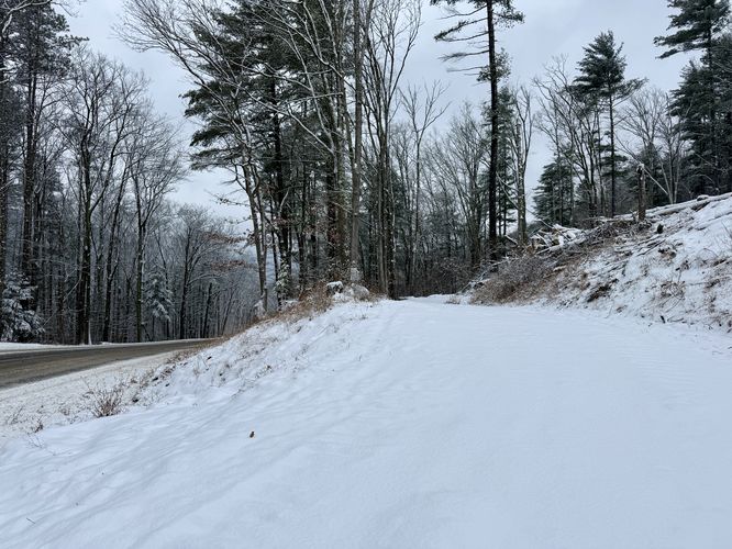 Trailhead on a logging road (road closed to vehicles)